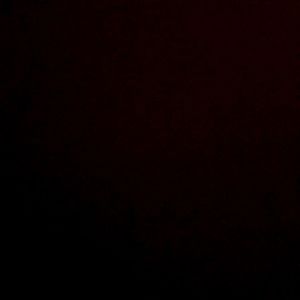 Meet your Posher, Kyra